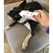 Warren London Instant Ear Cleaner For Dogs 12 oz or 1 gallon - Professional Size - Removes Wax and Odor Spa Product Rosy Brown 12 Oz,1 Gallon