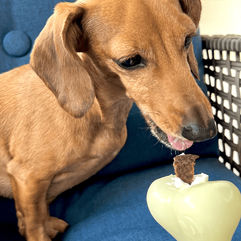Farm To Pet Dog Treat Dispensers Treat Dispenser Black Brown Football,Black Skull,Blue Ice Cream,Glow-In-The-Dark Ball,Glow-In-The-Dark Bone,Orange Flower Pot