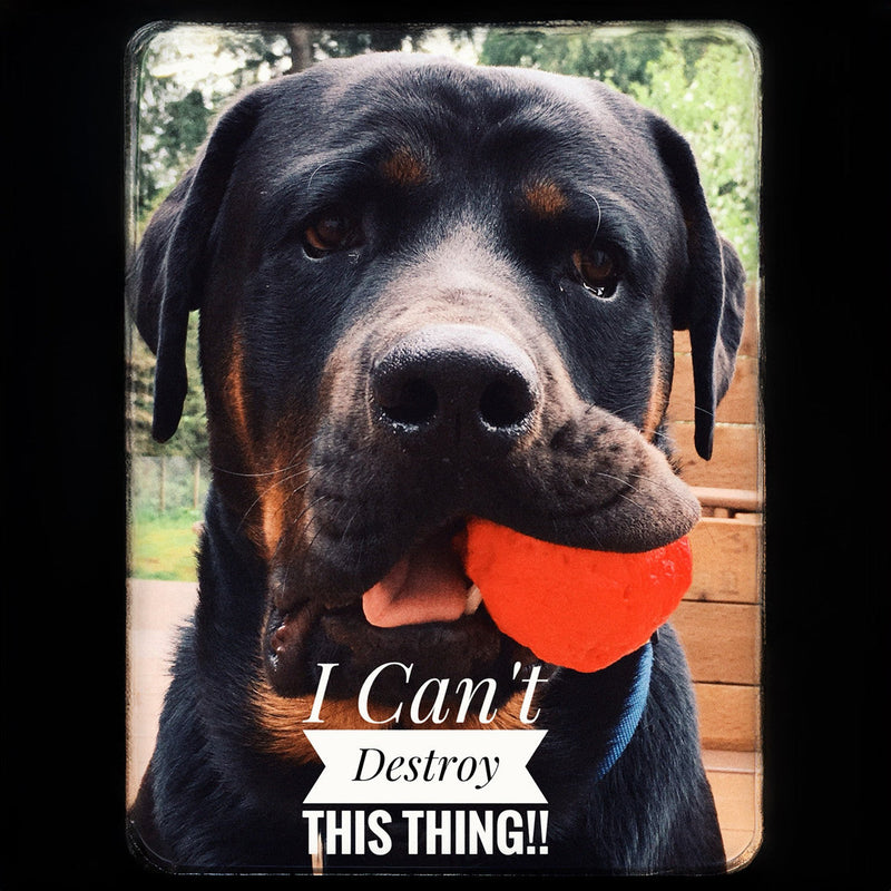 WACKYstore WUNDERball - Best Fetch Toy Black (XL) Over 80 lbs. / Swirl,(XL) Over 80 lbs. / Orange,(XL) Over 80 lbs. / Green,(XL) Over 80 lbs. / Pink,(XL) Over 80 lbs. / Purple,(LARGE) up to 80 lbs. / Swirl,(LARGE) up to 80 lbs. / Orange,(LARGE) up to 80 lbs. / Green,(LARGE) up to 80 lbs. / Pink,(LAR