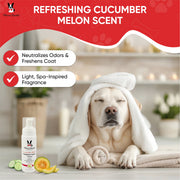 Warren London Cucumber Melon Foaming Facial - Professional Size - Refill Grooming Size Product Gray