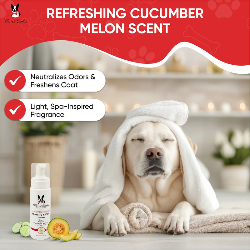 Warren London Cucumber Melon Foaming Facial - Professional Size - Refill Grooming Size Product Gray