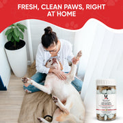 Warren London Deep Cleaning Paw Fizz Balls - Professional Size Grooming Size Product White Smoke 300 Fizz Balls,75 Fizz Balls