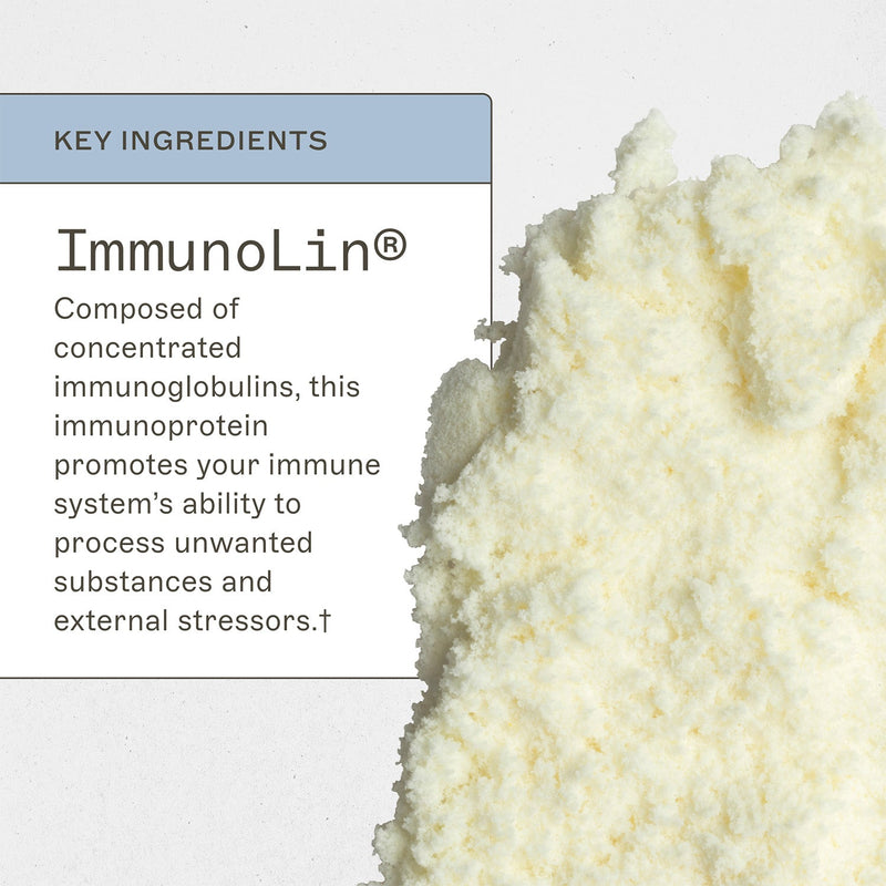 AMMD ImmuneIG Supplement Lavender