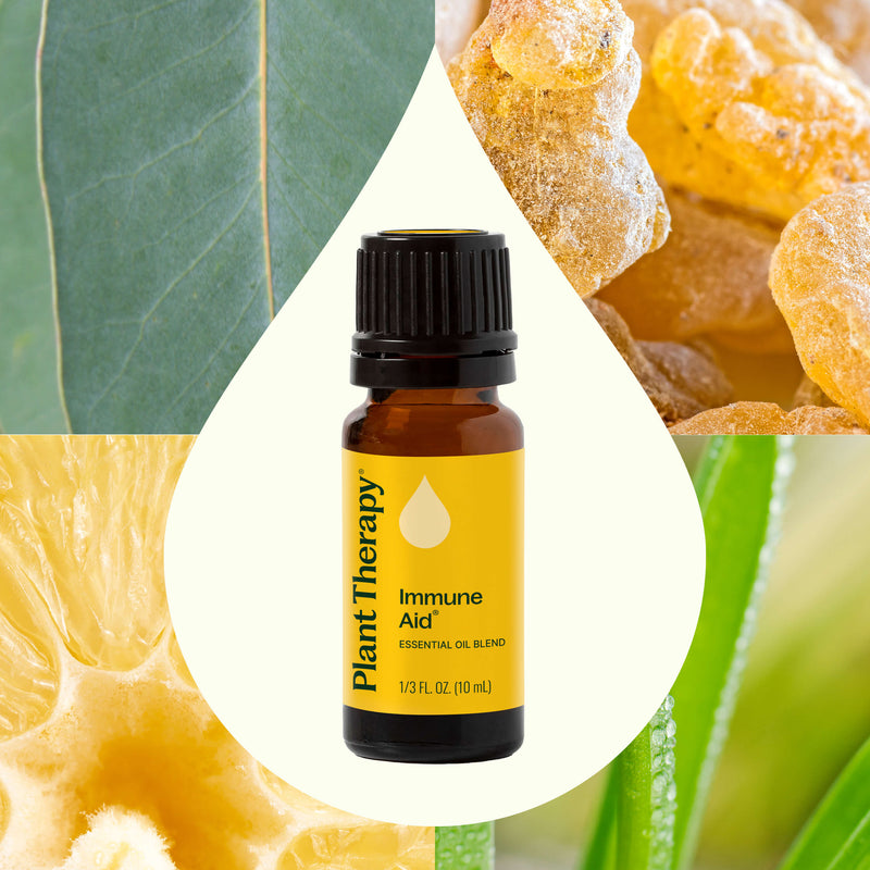 Plant Therapy Immune Aid Essential Oil Blend Essential Oil Wheat 10 mL,30 mL,100 mL