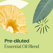 Plant Therapy Immune Aid Essential Oil Blend Pre-Diluted Roll-On Essential Oil Light Goldenrod 10 mL
