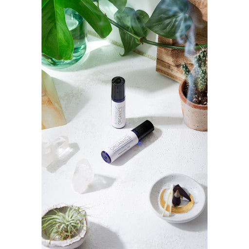 Butter Me Up Organics Immunity Oil Blend / Colds / Flus / Boost Your Immune System Body Light Gray