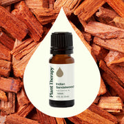 Plant Therapy Indian Sandalwood Essential Oil Essential Oil Seashell 2.5 mL,10 mL