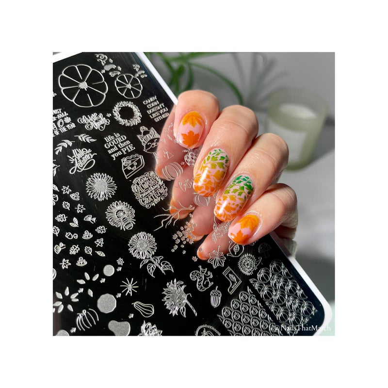 UberChic Beauty What A Wonder-Fall World Stamping Plate Black