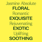 Plant Therapy Jasmine Sambac Pure Absolute Essential Oil Light Goldenrod 2.5 mL,5 mL,10 mL