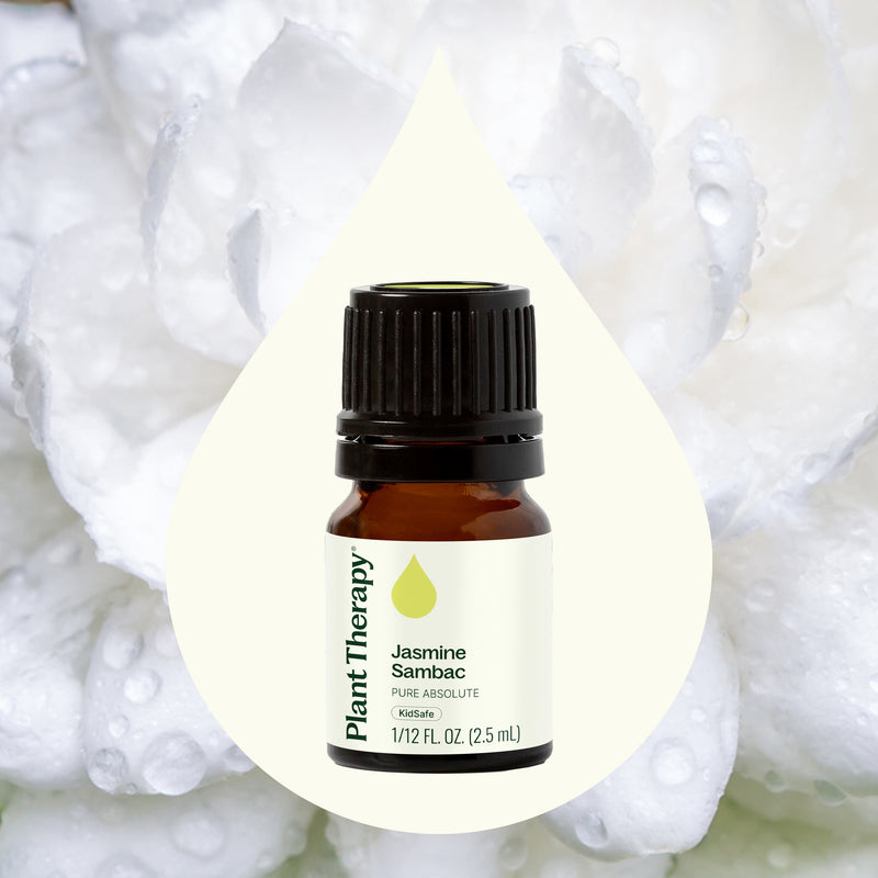 Plant Therapy Jasmine Sambac Pure Absolute Essential Oil Lavender 2.5 mL,5 mL,10 mL