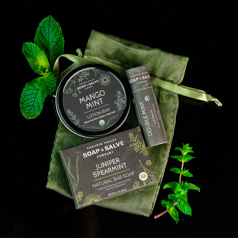 Chagrin Valley Soap & Salve Gift: Soap Sample with Lip Balm & Lotion Bar Gift Black Minty Theme