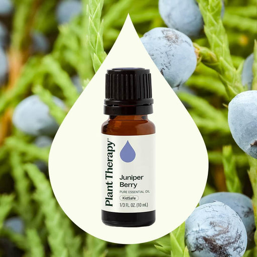 Plant Therapy Juniper Berry Essential Oil Essential Oil Seashell 10 mL,30 mL