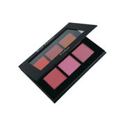 Prolux Cosmetics Blush Palette | Blush Colour Palette Blush White Smoke