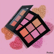 Prolux Cosmetics Blush Palette | Blush Colour Palette Blush Plum