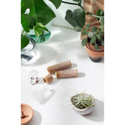 Butter Me Up Organics Kissable Lips / Chapstick Lip Balm / PAPERBOARD Tube Face Light Gray
