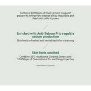AsiaBeautyMall ANUA Heartleaf Quercetinol Pore Deep Cleansing Foam Face Cleanser Lavender