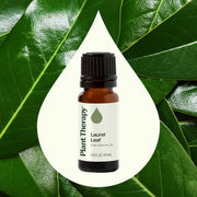 Plant Therapy Laurel Leaf Essential Oil Essential Oil Seashell 10 mL