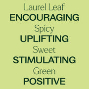 Plant Therapy Laurel Leaf Essential Oil Essential Oil Khaki 10 mL