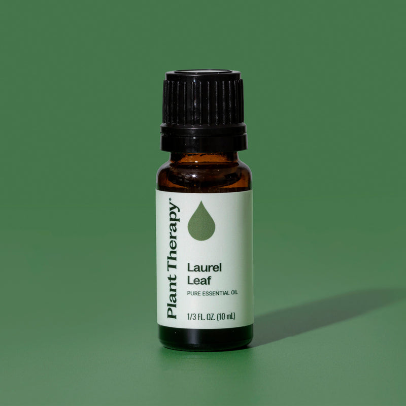Plant Therapy Laurel Leaf Essential Oil Essential Oil Dark Olive Green 10 mL