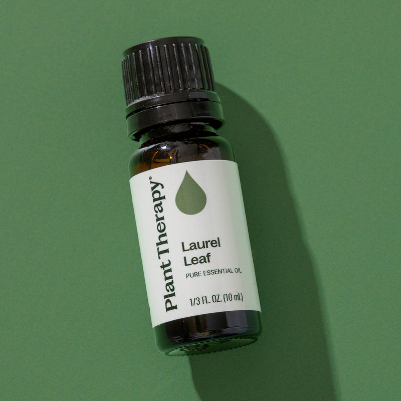 Plant Therapy Laurel Leaf Essential Oil Essential Oil Dim Gray 10 mL