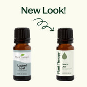 Plant Therapy Laurel Leaf Essential Oil Essential Oil Seashell 10 mL