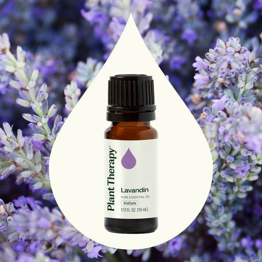 Plant Therapy Lavandin Essential Oil Essential Oil White Smoke 10 mL,30 mL,100 mL