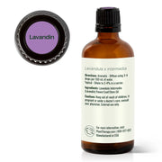 Plant Therapy Lavandin Essential Oil Essential Oil White Smoke 10 mL,30 mL,100 mL