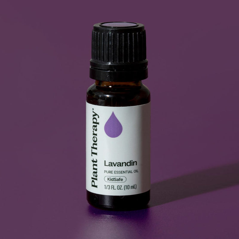 Plant Therapy Lavandin Essential Oil Essential Oil Dark Slate Gray 10 mL,30 mL,100 mL