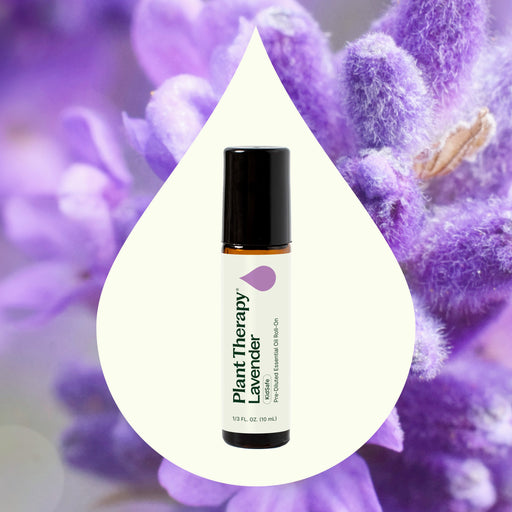 Plant Therapy Lavender Essential Oil Pre-Diluted Roll-On Essential Oil Seashell 10 mL