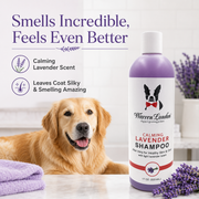 Warren London Calming Lavender Dog Shampoo w/Aloe Vera & Essential Oils Dog Shampoo Lavender