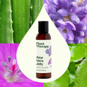 Plant Therapy Lavender Aloe Vera Jelly Body Care Light Gray 4 oz