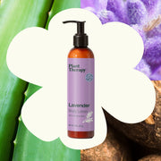 Plant Therapy Lavender Body Lotion with Aloe and Shea Body Care Seashell 8 oz
