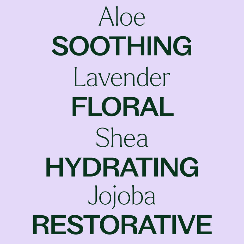 Plant Therapy Lavender Body Lotion with Aloe and Shea Body Care Lavender 8 oz