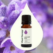 Plant Therapy Lavender Fine Essential Oil Essential Oil Seashell 10 mL,5 mL