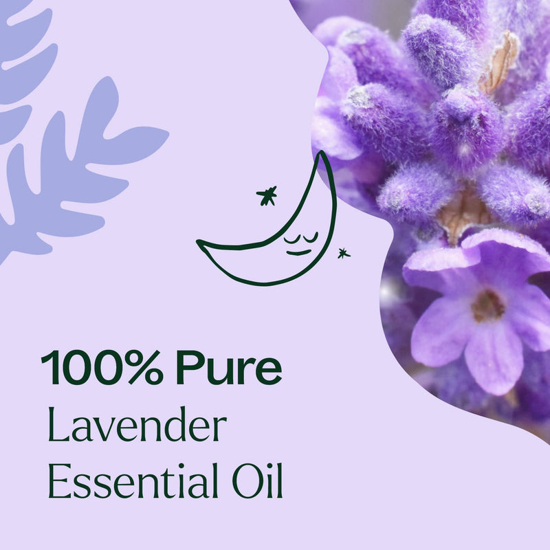 Plant Therapy Lavender Fine Essential Oil Essential Oil Lavender 10 mL,5 mL