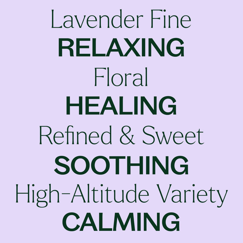 Plant Therapy Lavender Fine Essential Oil Essential Oil Lavender 10 mL,5 mL