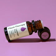 Plant Therapy Lavender Fine Essential Oil Essential Oil Plum 10 mL,5 mL