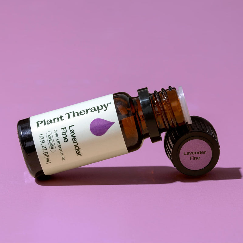 Plant Therapy Lavender Fine Essential Oil Essential Oil Plum 10 mL,5 mL