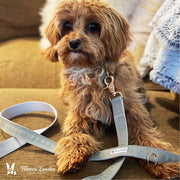 Warren London Fabric Dog Leash - Grey Leashes, Collars & Accessories Dark Olive Green