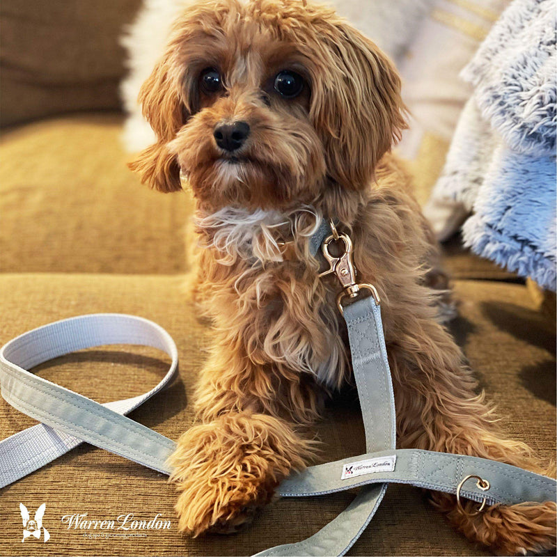 Warren London Fabric Dog Leash - Grey Leashes, Collars & Accessories Dark Olive Green