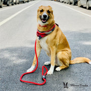Warren London Climbing Rope Dog Leash - Red Leashes, Collars & Accessories Gray