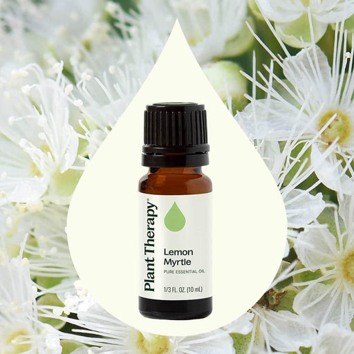Plant Therapy Lemon Myrtle Essential Oil Essential Oil Seashell 10 mL