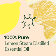 Plant Therapy Lemon Steam Distilled Essential Oil Essential Oil Antique White 10 mL,30 mL