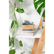 Butter Me Up Organics Organic Lemongrass Mint with Activated Charcoal and French Green Clay / VEGAN SOAP / PALM FREE Soap Light Gray Lemongrass Mint Soap,Lemongrass Mint Soap + Stained Wood Bamboo Soap Dish