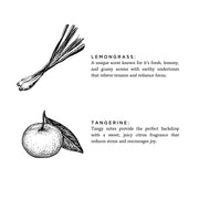 Slow North Lemongrass + Tangerine - Signature Candle Frosted Candles White Smoke