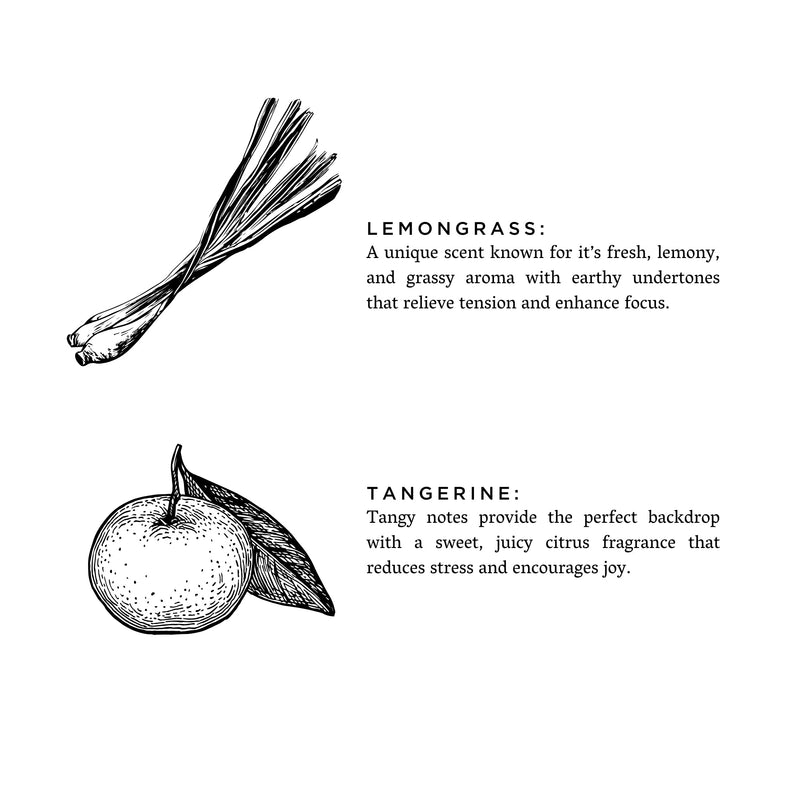 Slow North Lemongrass + Tangerine - Signature Candle Frosted Candles White Smoke