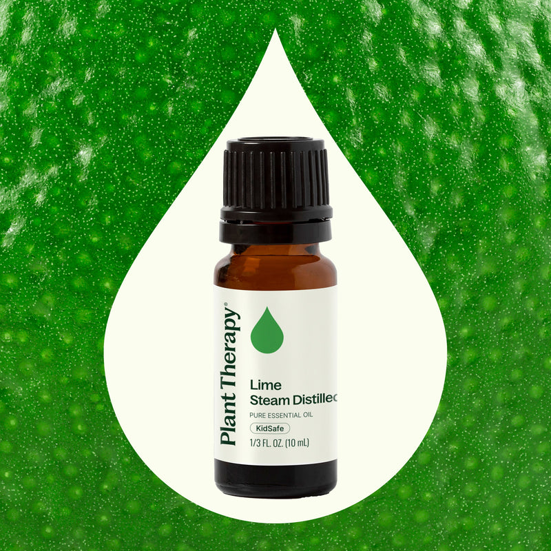 Plant Therapy Lime Steam Distilled Essential Oil Essential Oil Seashell 10 mL,30 mL