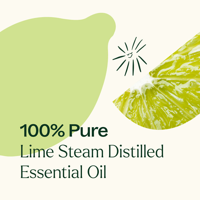 Plant Therapy Lime Steam Distilled Essential Oil Essential Oil White Smoke 10 mL,30 mL