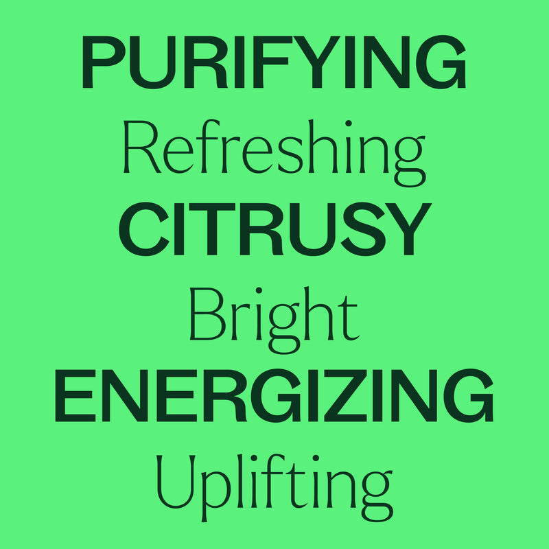 Plant Therapy Lime Steam Distilled Essential Oil Essential Oil Light Green 10 mL,30 mL
