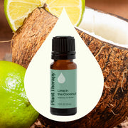 Plant Therapy Lime in the Coconut Essential Oil Blend Essential Oil Seashell 10 mL,30 mL